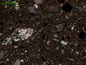 含砾泥质细粒岩屑砂岩