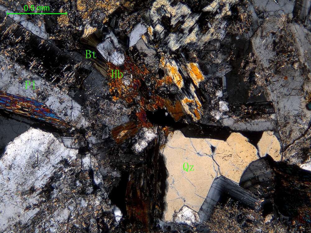 细中粒石英闪长岩