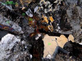 细中粒石英闪长岩