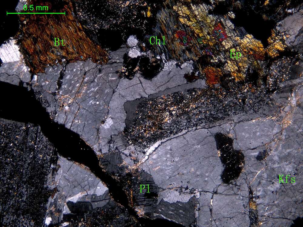 中粗粒二长花岗岩