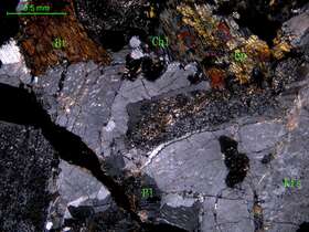 中粗粒二长花岗岩