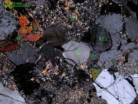 细粒石英闪长岩