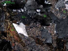 细粒石英闪长岩