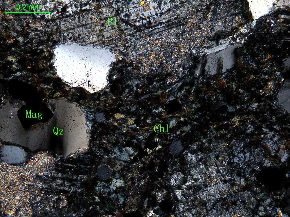 蚀变细粒石英闪长岩