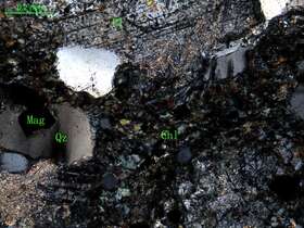 蚀变细粒石英闪长岩