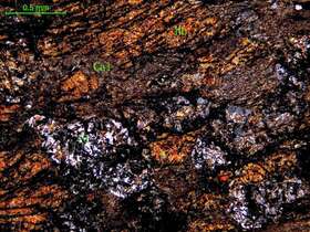 蚀变细粒闪长岩