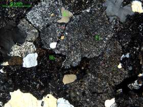 蚀变细粒石英闪长岩