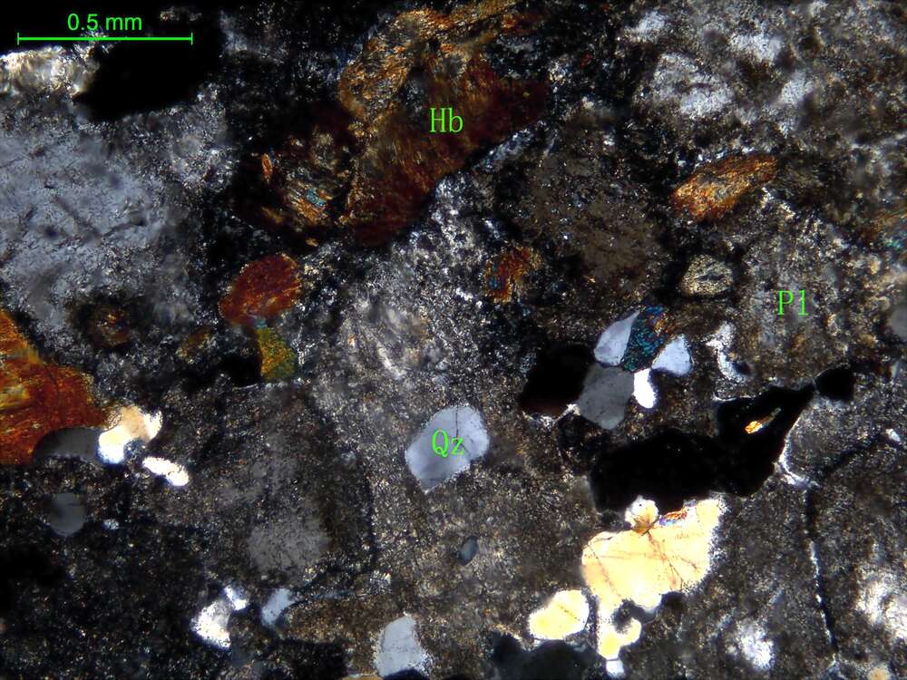 蚀变细粒石英闪长岩