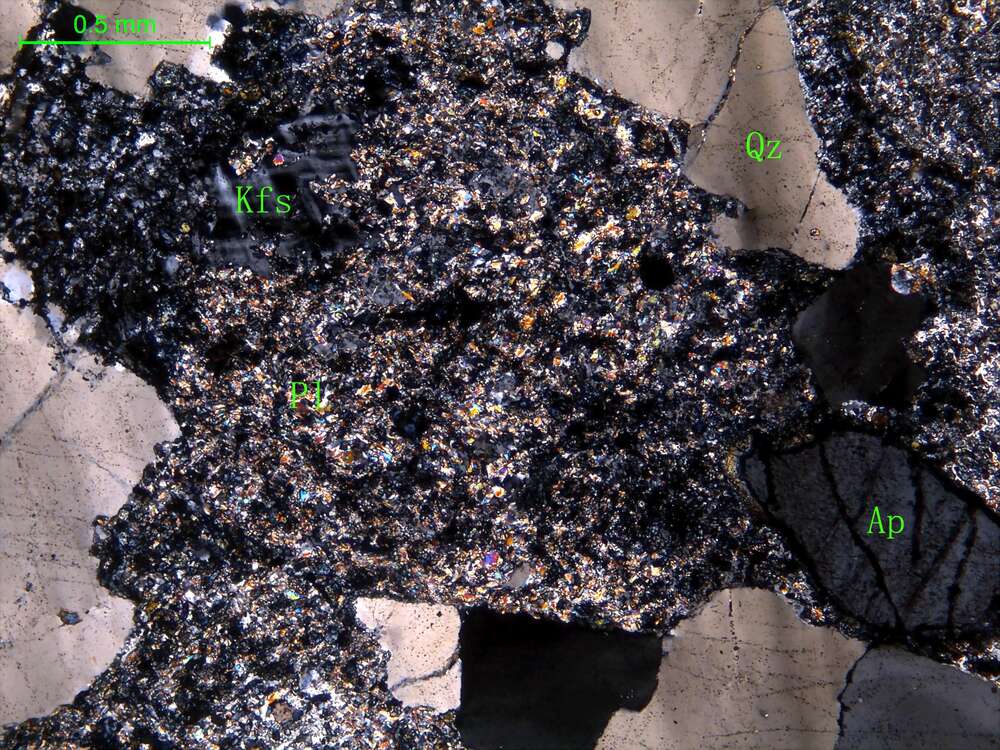 蚀变中粒斜长花岗岩