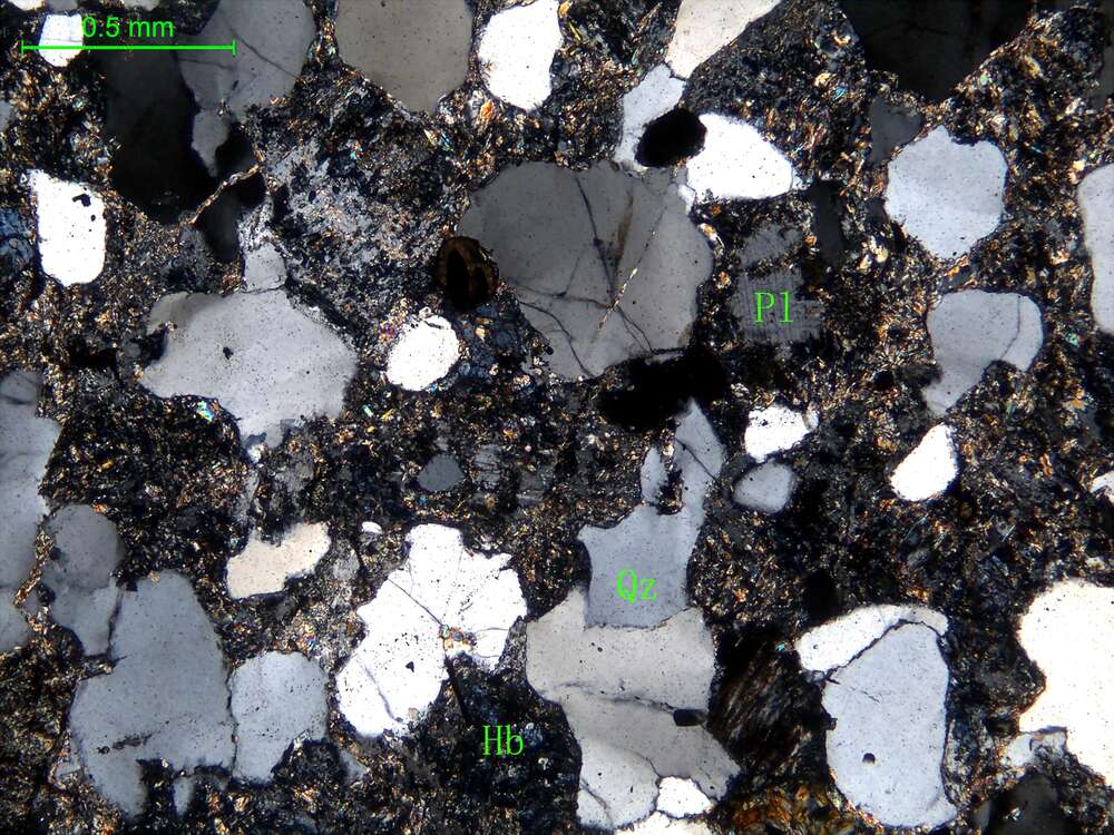 蚀变细粒石英闪长岩