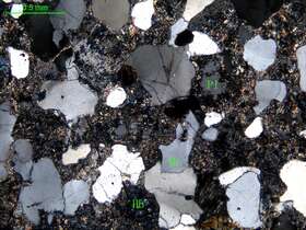 蚀变细粒石英闪长岩