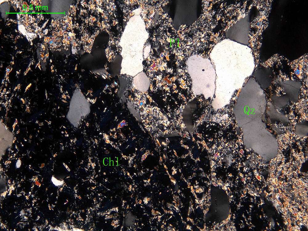 蚀变细中粒石英闪长岩