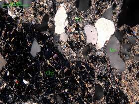 蚀变细中粒石英闪长岩