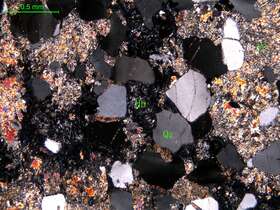 蚀变细粒石英闪长岩