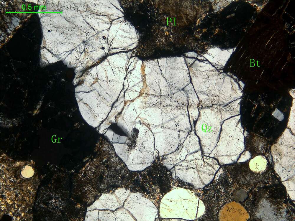 矽卡岩化斜长花岗岩