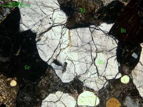 矽卡岩化斜长花岗岩