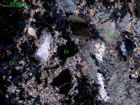 矽卡岩化细粒斜长花岗岩