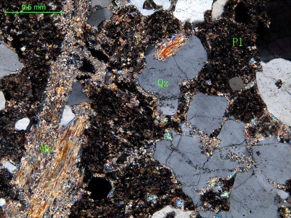 蚀变斜长花岗岩