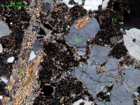 蚀变斜长花岗岩