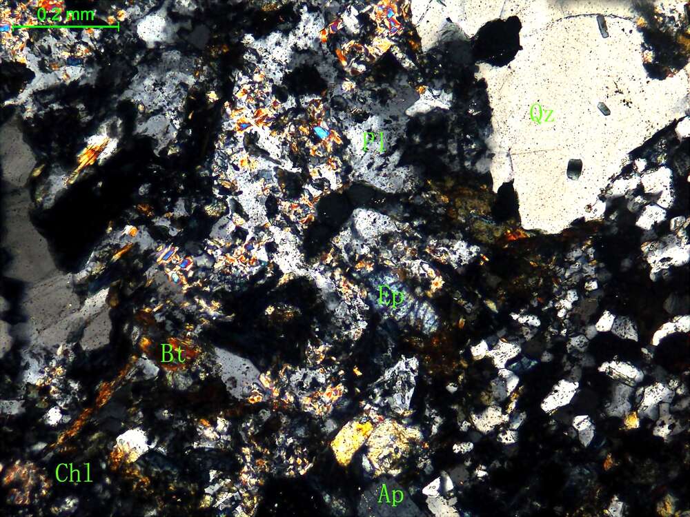 蚀变细粒石英闪长岩