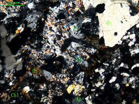 蚀变细粒石英闪长岩