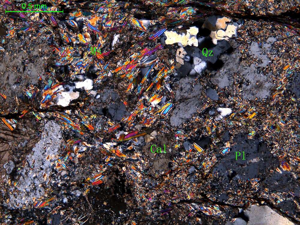 片理化斜长花岗岩