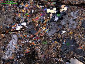 片理化斜长花岗岩