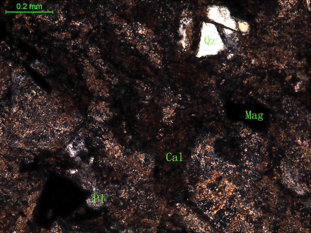 蚀变细晶闪长岩