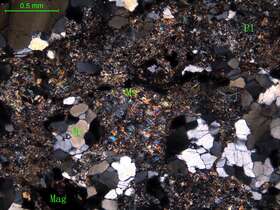 细粒斜长花岗岩