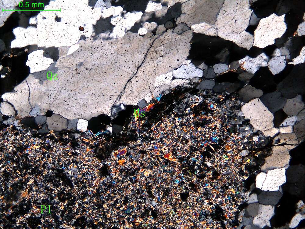 蚀变斜长花岗岩