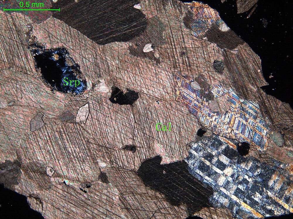 含蛇纹石大理岩