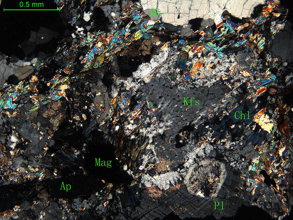 蚀变细中粒花岗闪长岩
