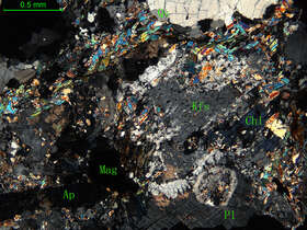 蚀变细中粒花岗闪长岩