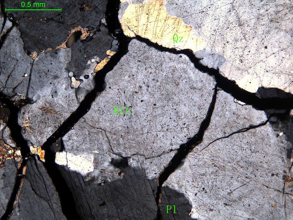 中粒二长花岗岩