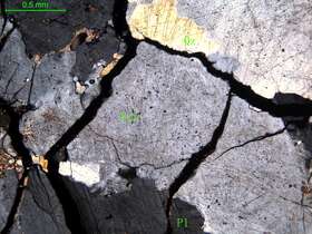 中粒二长花岗岩