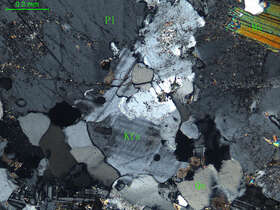 片麻状白云母细粒二长花岗岩