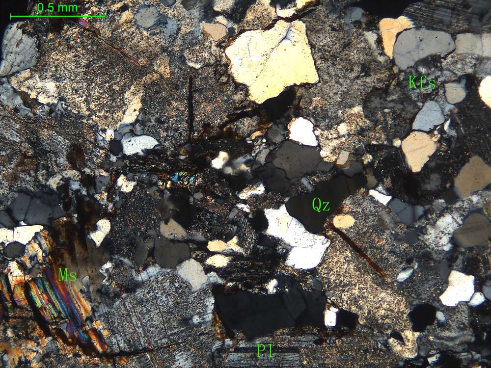 片麻状细中粒二长花岗岩