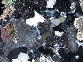 白云母二长花岗岩