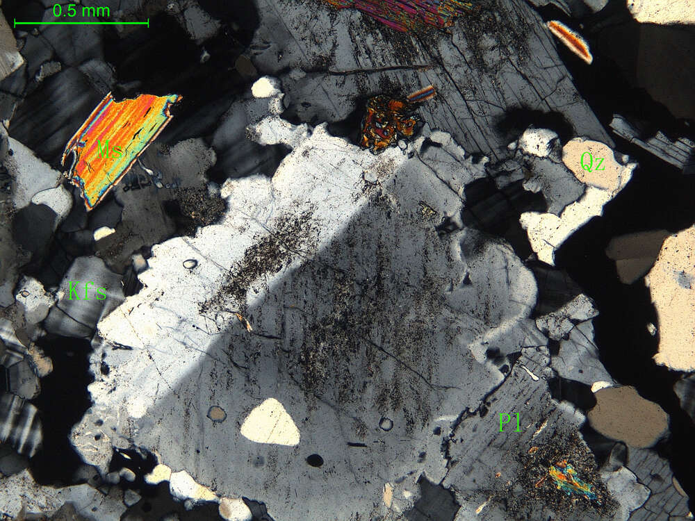 细中粒白云母二长花岗岩