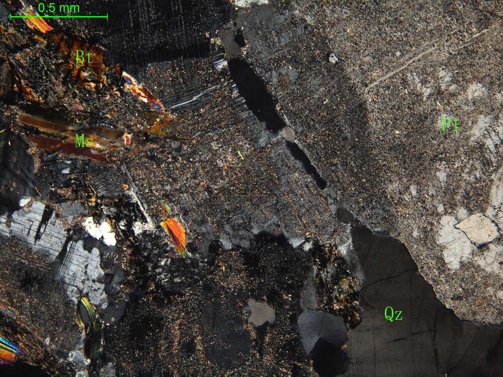 二云母斜长花岗岩