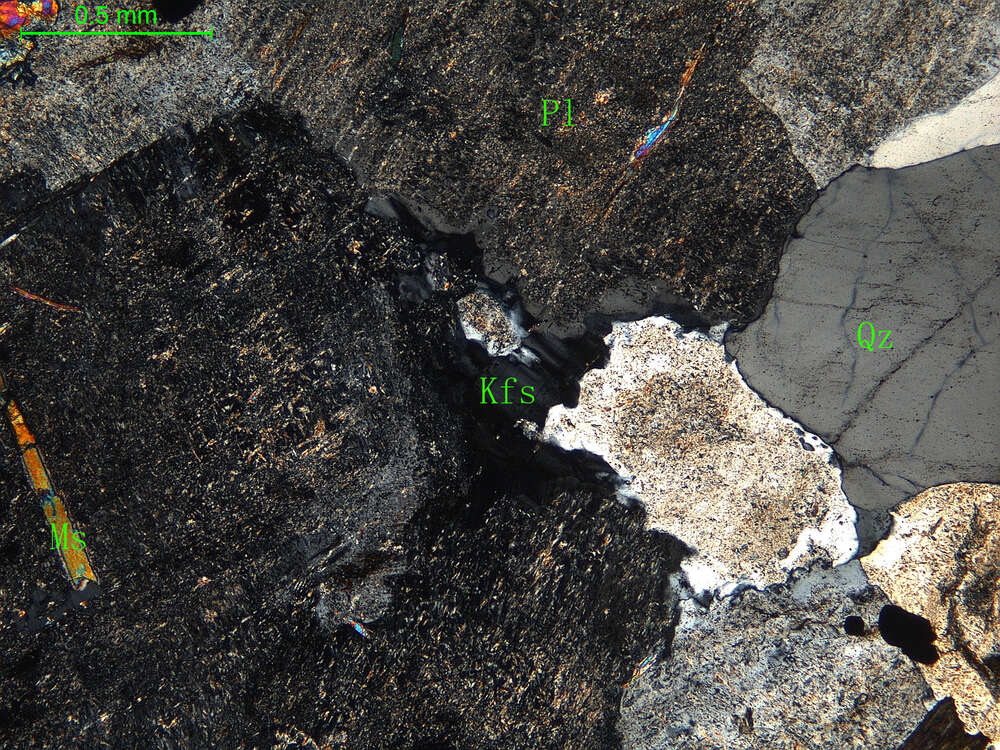 细中粒花岗闪长岩