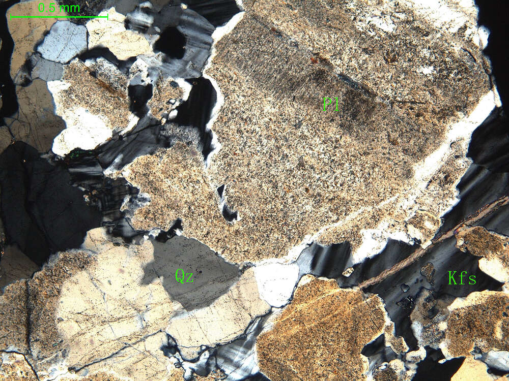 细中粒花岗闪长岩