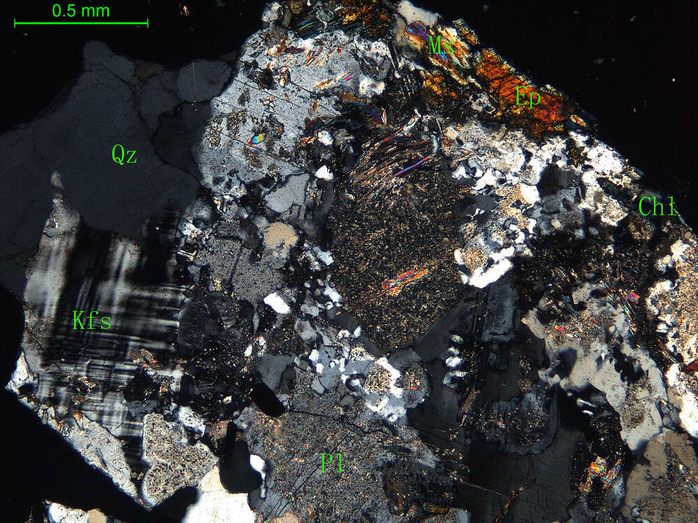 细中粒花岗闪长岩