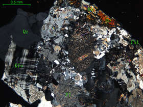 细中粒花岗闪长岩