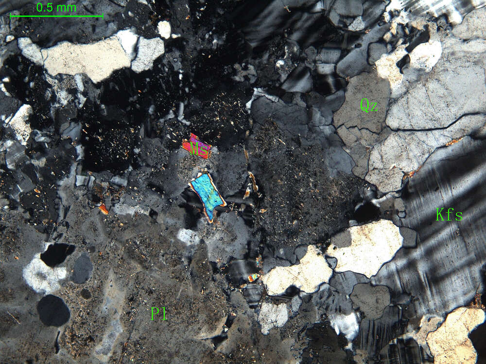 细中粒花岗闪长岩