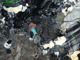 细中粒花岗闪长岩