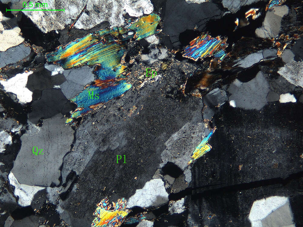 片麻状细粒白云母斜长花岗岩