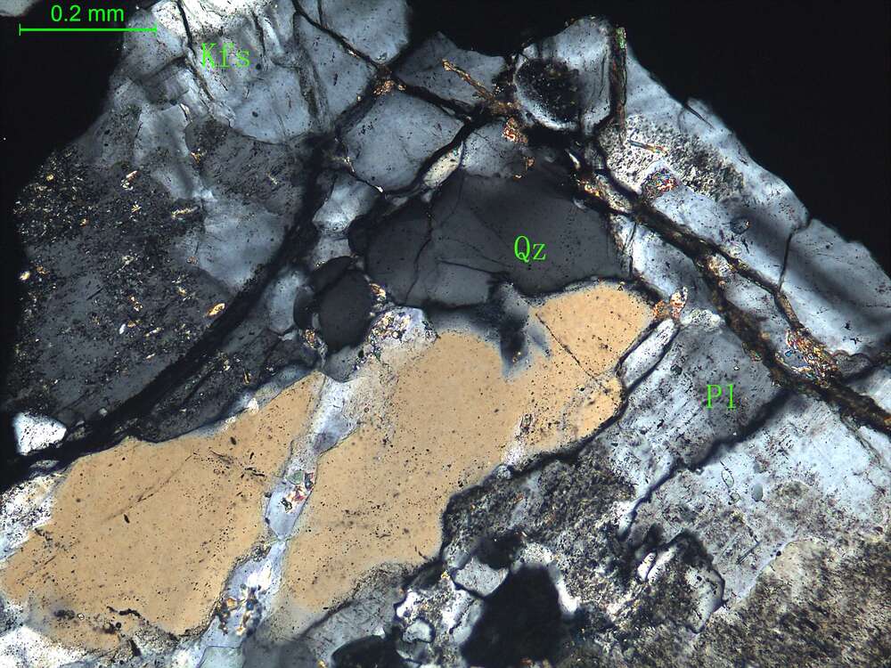 细中粒花岗闪长岩