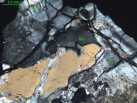 细中粒花岗闪长岩