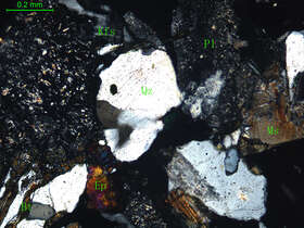 细中粒花岗闪长岩
